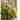 JUHAN Isolde Retro High-End Jewelry Living Room Decor from JUHAN