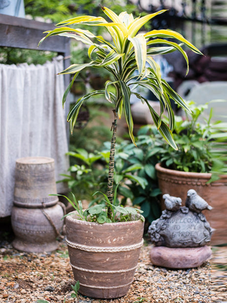 JUHAN Isolde Vintage Clay Handcrafted Flowerpot from JUHAN
