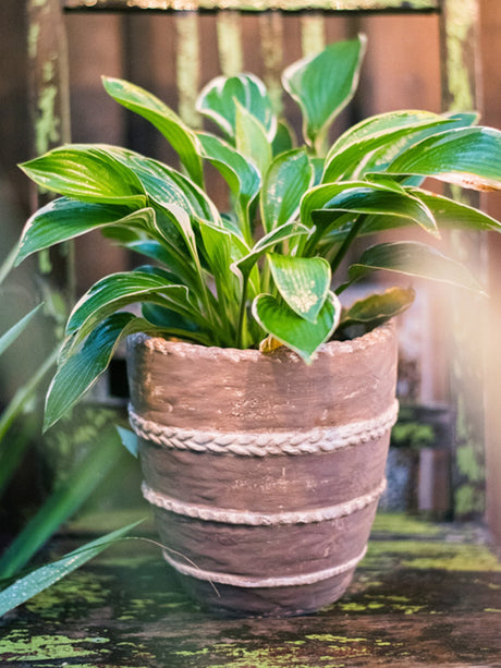 JUHAN Isolde Vintage Clay Handcrafted Flowerpot from JUHAN