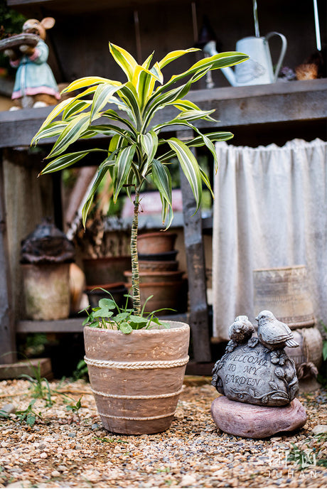 JUHAN Isolde Vintage Clay Handcrafted Flowerpot from JUHAN