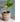 JUHAN Isolde Vintage Clay Handcrafted Flowerpot from JUHAN