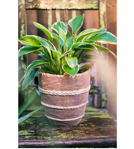 JUHAN Isolde Vintage Clay Handcrafted Flowerpot from JUHAN