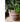 JUHAN Isolde Vintage Clay Handcrafted Flowerpot from JUHAN