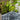 JUHAN Isolde Whimsical Ceramic Micro Landscape Flower Pot. from JUHAN