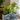 JUHAN Isolde Whimsical Ceramic Micro Landscape Flower Pot. from JUHAN