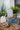 JUHAN Isolde Whimsical Ceramic Micro Landscape Flower Pot. from JUHAN