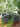 JUHAN Isolde Whimsical Ceramic Micro Landscape Flower Pot. from JUHAN