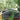 JUHAN Isolde Whimsical Ceramic Micro Landscape Flower Pot. from JUHAN