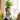 JUHAN Kaori Elegant Floral Planter Pot from JUHAN