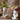 JUHAN Kaori Elegant Floral Planter Pot from JUHAN