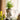 JUHAN Kaori Elegant Floral Planter Pot from JUHAN