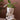 JUHAN Kaori Elegant Floral Planter Pot from JUHAN