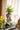 JUHAN Kaori Elegant Floral Planter Pot from JUHAN
