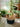 JUHAN Kaori Elegant Floral Storage Round Basket from JUHAN