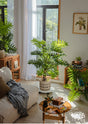 JUHAN Kaori Stylish LED Plant Lamp Indoor Décor from JUHAN