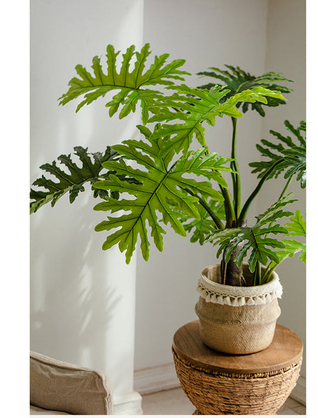 JUHAN Kaori Stylish LED Plant Lamp Indoor Décor from JUHAN