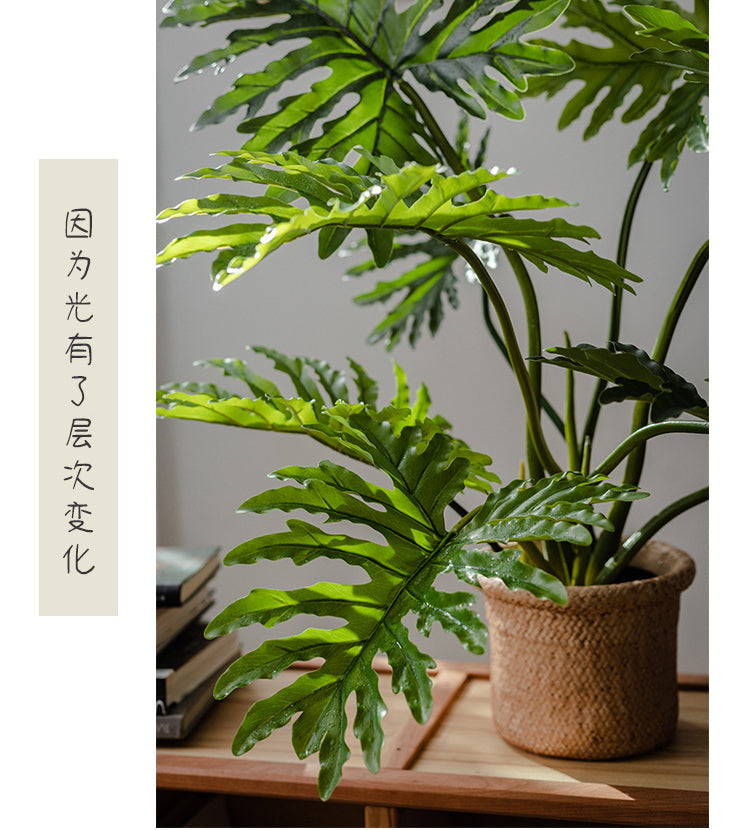 JUHAN Kaori Stylish LED Plant Lamp Indoor Décor from JUHAN