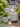 JUHAN Kintaro Modern Nordic Large-Caliber Flowerpot from JUHAN