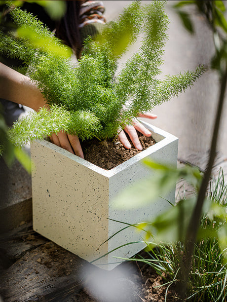 JUHAN Kintaro Modern Nordic Large-Caliber Flowerpot from JUHAN