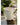 JUHAN Kintaro Modern Nordic Large-Caliber Flowerpot from JUHAN
