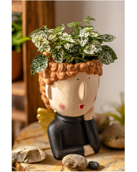 JUHAN Kiyoshi Elegant Succulent Flowerpot Art Ornament from JUHAN
