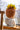 JUHAN Kiyoshi Elegant Succulent Flowerpot Art Ornament from JUHAN