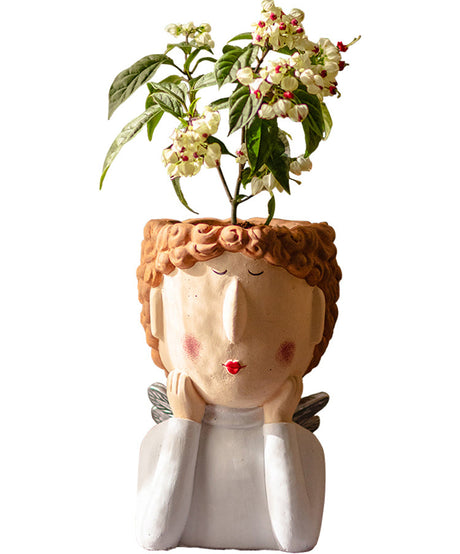 JUHAN Kiyoshi Elegant Succulent Flowerpot Art Ornament from JUHAN