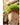 JUHAN Kiyoshi Elegant Succulent Flowerpot Art Ornament from JUHAN