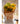 JUHAN Kiyoshi Elegant Succulent Flowerpot Art Ornament from JUHAN