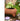 JUHAN Lumina Artistic Floral Pot Jewelry Display from JUHAN