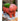 JUHAN Lumina Artistic Floral Pot Jewelry Display from JUHAN