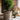 JUHAN Mariposa Vintage Unglazed Flower Pot from JUHAN