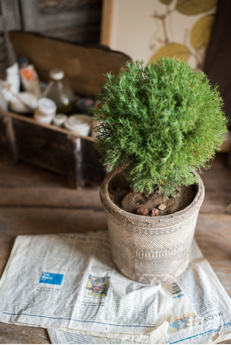 JUHAN Mariposa Vintage Unglazed Flower Pot from JUHAN