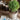 JUHAN Mariposa Vintage Unglazed Flower Pot from JUHAN