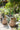 JUHAN Mariposa Vintage Unglazed Flower Pot from JUHAN