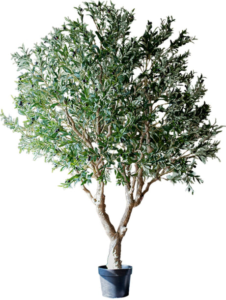 JUHAN Marisol Contemporary Scandinavian Plant Lamp from JUHAN