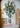 JUHAN Marisol Contemporary Scandinavian Plant Lamp from JUHAN
