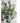 JUHAN Marisol Contemporary Scandinavian Plant Lamp from JUHAN