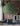 JUHAN Marisol Contemporary Scandinavian Plant Lamp from JUHAN