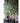JUHAN Marisol Contemporary Scandinavian Plant Lamp from JUHAN