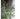 JUHAN Marisol Contemporary Scandinavian Plant Lamp from JUHAN