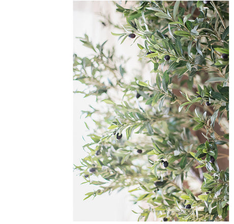 JUHAN Marisol Contemporary Scandinavian Plant Lamp from JUHAN