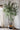 JUHAN Marisol Contemporary Scandinavian Plant Lamp from JUHAN