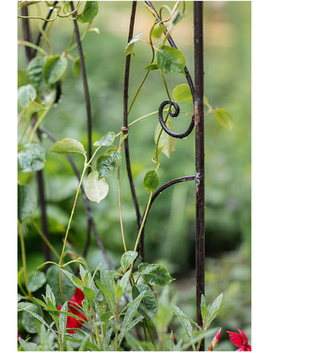 JUHAN Marisol Vintage Iron Floral Shelf from JUHAN