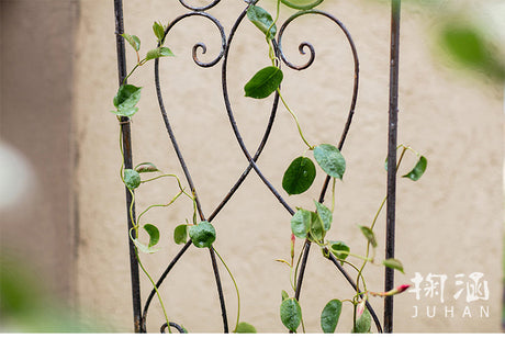 JUHAN Marisol Vintage Iron Floral Shelf from JUHAN