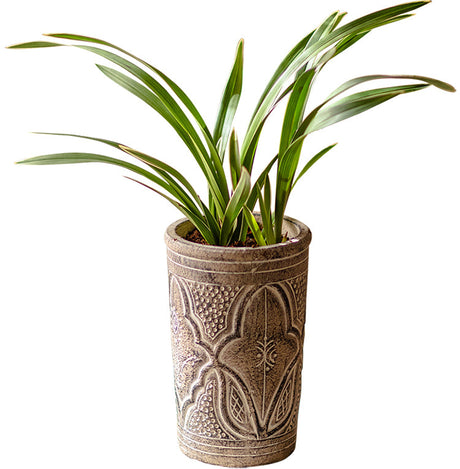 JUHAN Marzanna Vintage Crafted Breathable Flowerpot from JUHAN