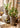 JUHAN Marzanna Vintage Crafted Breathable Flowerpot from JUHAN