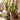 JUHAN Marzanna Vintage Crafted Breathable Flowerpot from JUHAN
