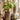 JUHAN Marzanna Vintage Crafted Breathable Flowerpot from JUHAN