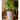 JUHAN Marzanna Vintage Crafted Breathable Flowerpot from JUHAN